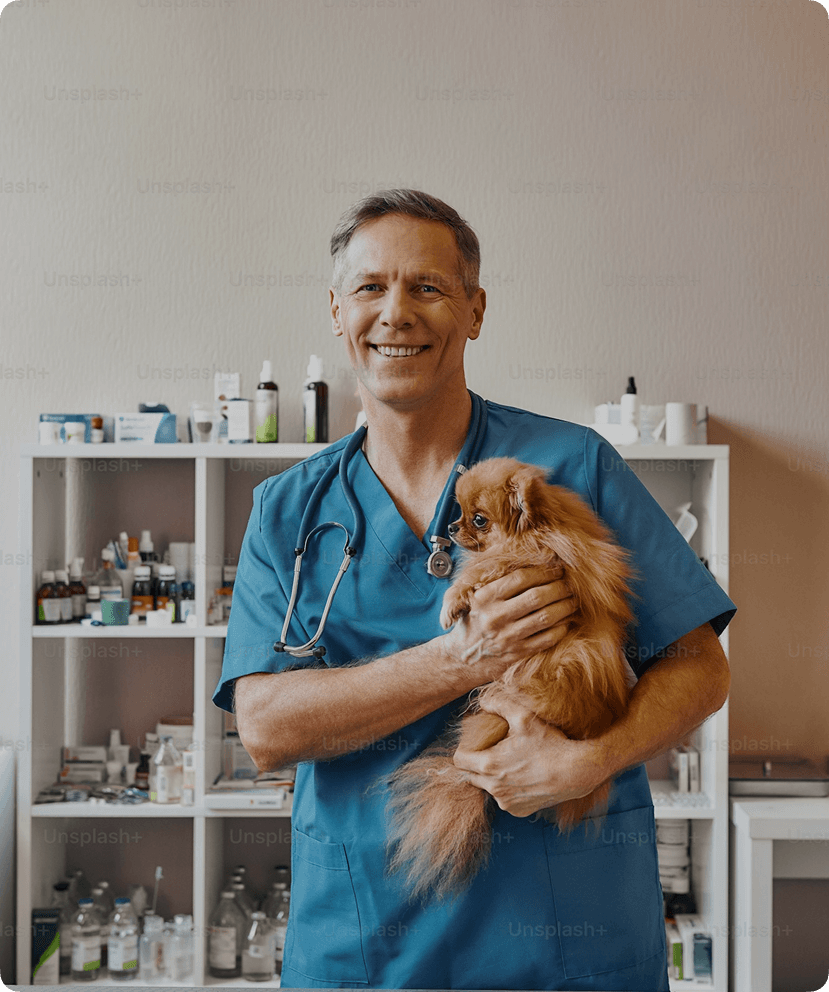 Veterinarian with cat